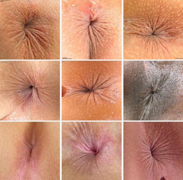 Collection of anuses of all countries of the world [ビューティーギャラリー]
