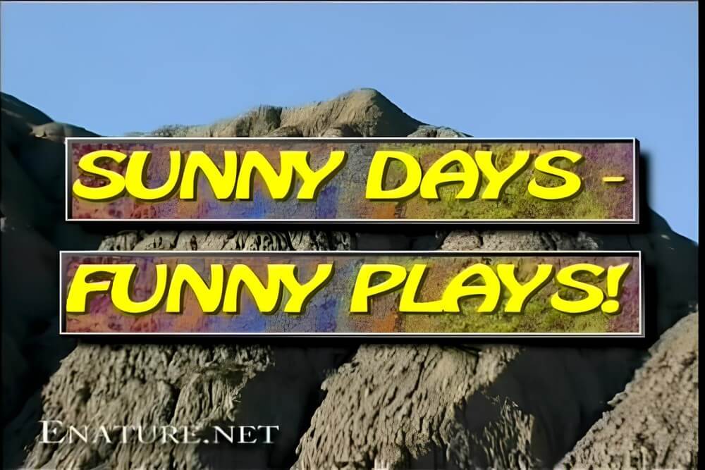 Enature - Sunny Days – Funny Plays - Down with Shame—Become a Nudist
