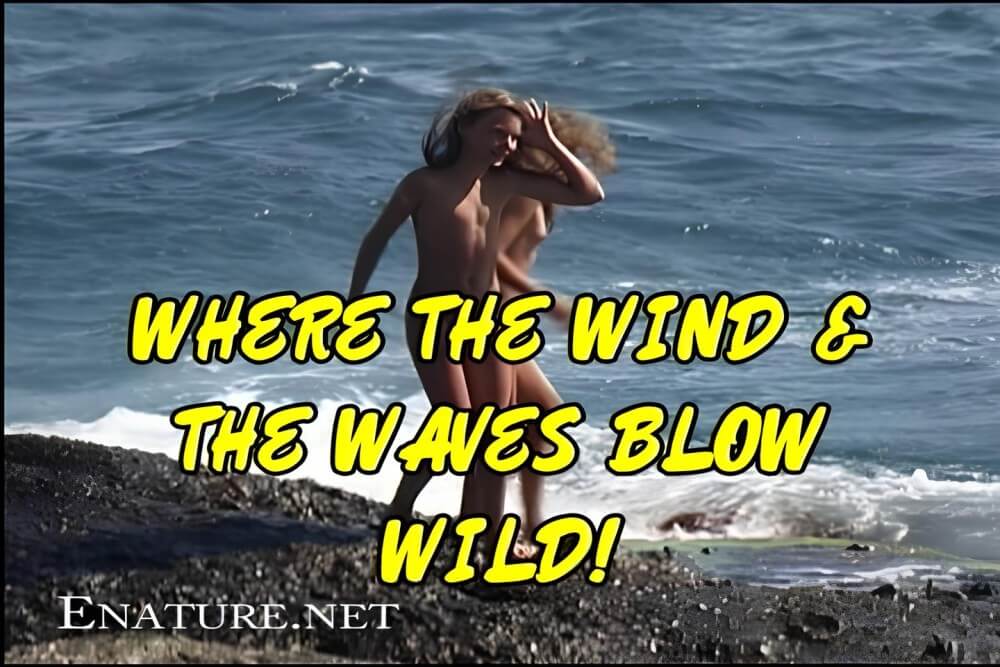 Enature - Where the Wind and the Waves Blow Wild! - Respect for differences is valued in the nudist movement