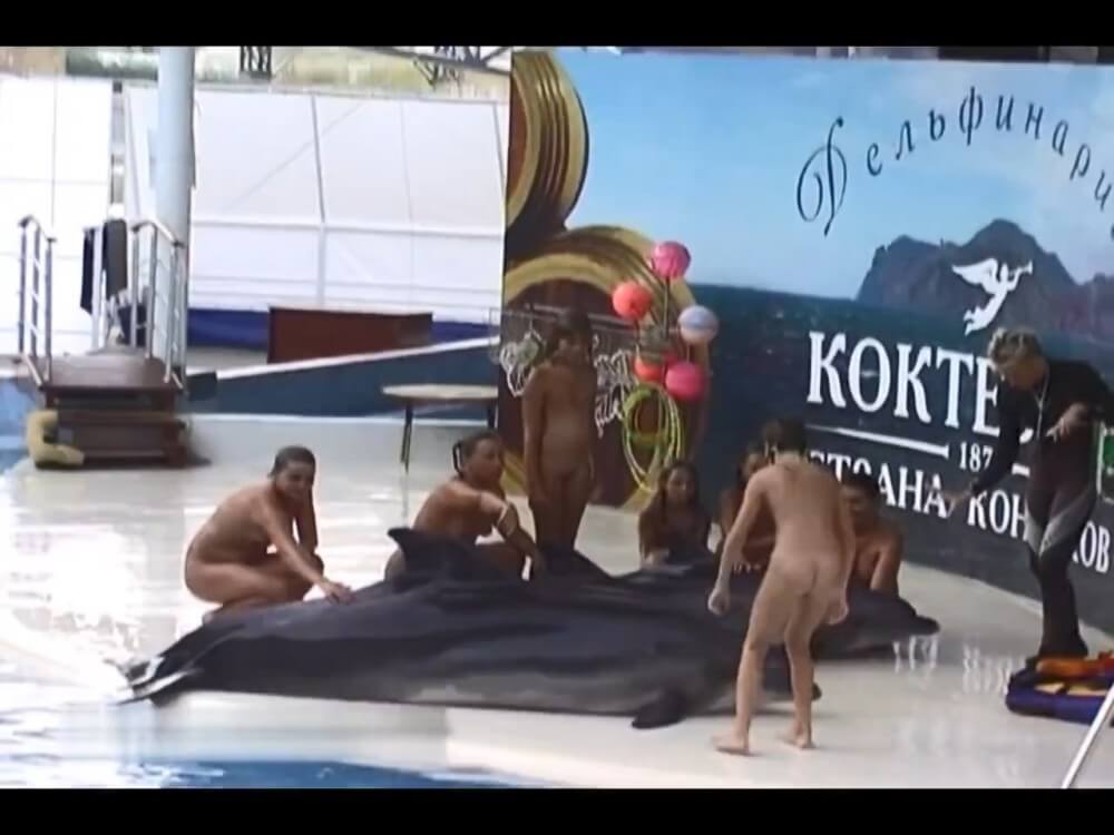 Relaxing at the dolphinarium - Living together in nature is a hallmark of nudists
